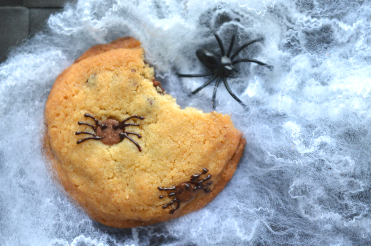  Hallowee, spider, recipe, ricette, cookies, bambini, kids, spider, ragni, cioccolato, chocolate