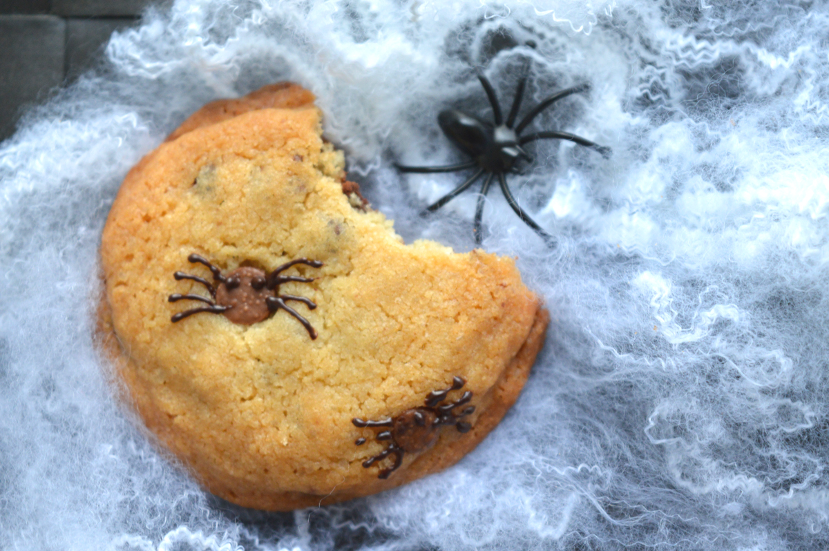 Hallowee, spider, recipe, ricette, cookies, bambini, kids, spider, ragni, cioccolato, chocolate