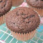 cupcake al cioccolato ricetta originale facile